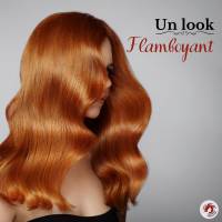 Nos prestations sur le secteur de Illkirch-Graffenstaden